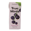True Mints Blackcurrant suikervrij 13 Gram