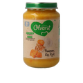 Olvarit Pompoen kip rijst 8M14 200 Gram