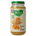 Olvarit Pompoen kip aardappel 15M12 250.00 Gram