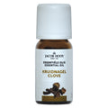 Jacob Hooy Kruidnagel olie 10.00 Milliliter