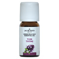Jacob Hooy Tijm olie 10.00 Milliliter