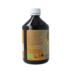 YIXIY Ginger bio 500.00 Milliliter