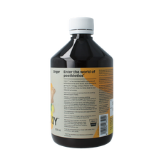 YIXIY Ginger bio 500.00 Milliliter