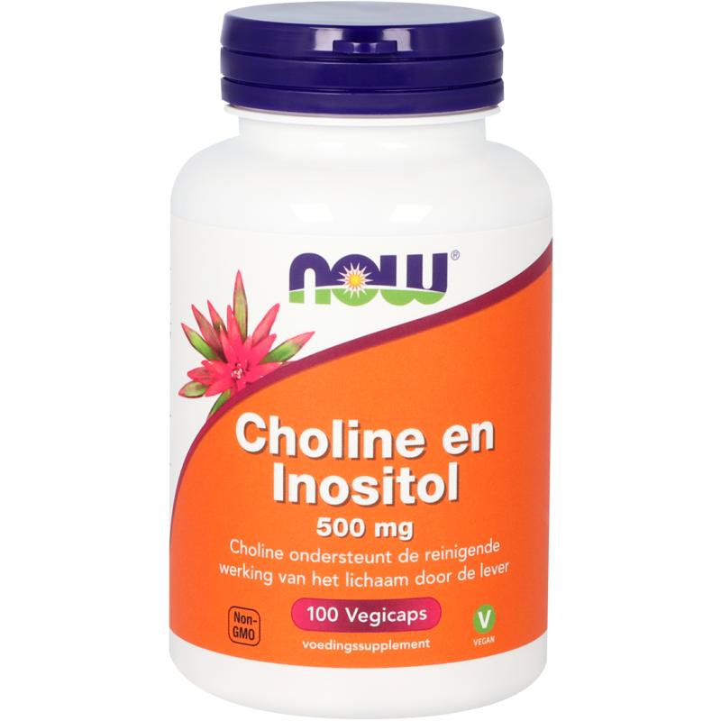 NOW Choline en inositol 500mg 100 Vegetarische capsules