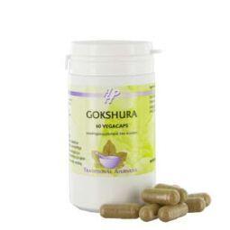 Holisan Gokshura 60 Vegetarische capsules