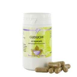Holisan Guduchi 60 Vegetarische capsules