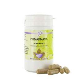 Holisan Punarnava 60.00 Vegetarische capsules