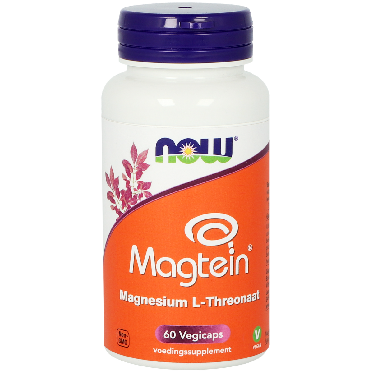 NOW Magtein Magnesium L-Threonaat 60.00 Vegetarische capsules