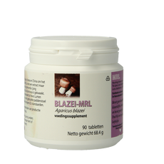 MRL Agaricus blazei 90 Tabletten