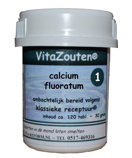 Vitazouten Calcium fluoratum Vitazout nr. 01 120 Tabletten