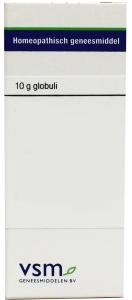 VSM Sulphuricum acidum D30 10 Gram
