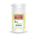 Biodream Active 800 Gram