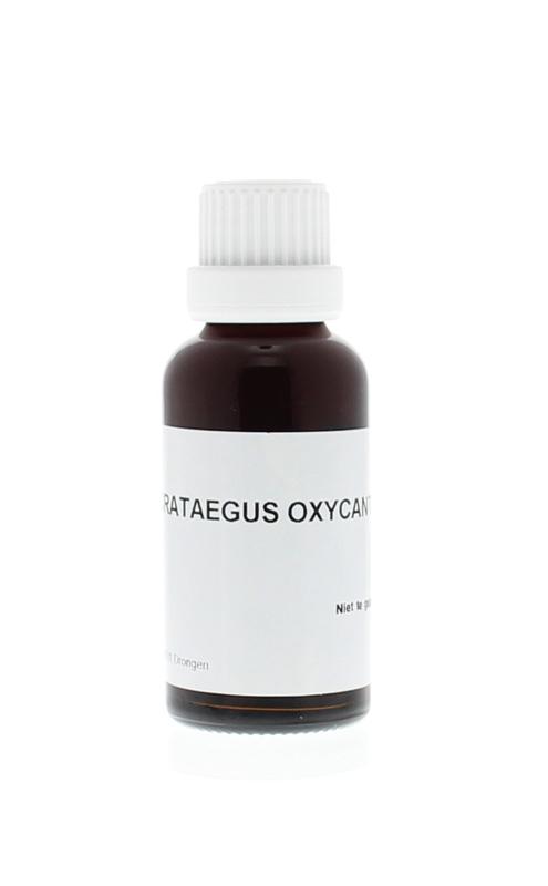Homeoden Heel Crataegus oxyacantha phyto 30 Milliliter