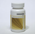 Ayurveda Health Gokshura tribulus 120.00 Tabletten