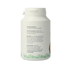 Mycopower Chaga bio 100 Capsules