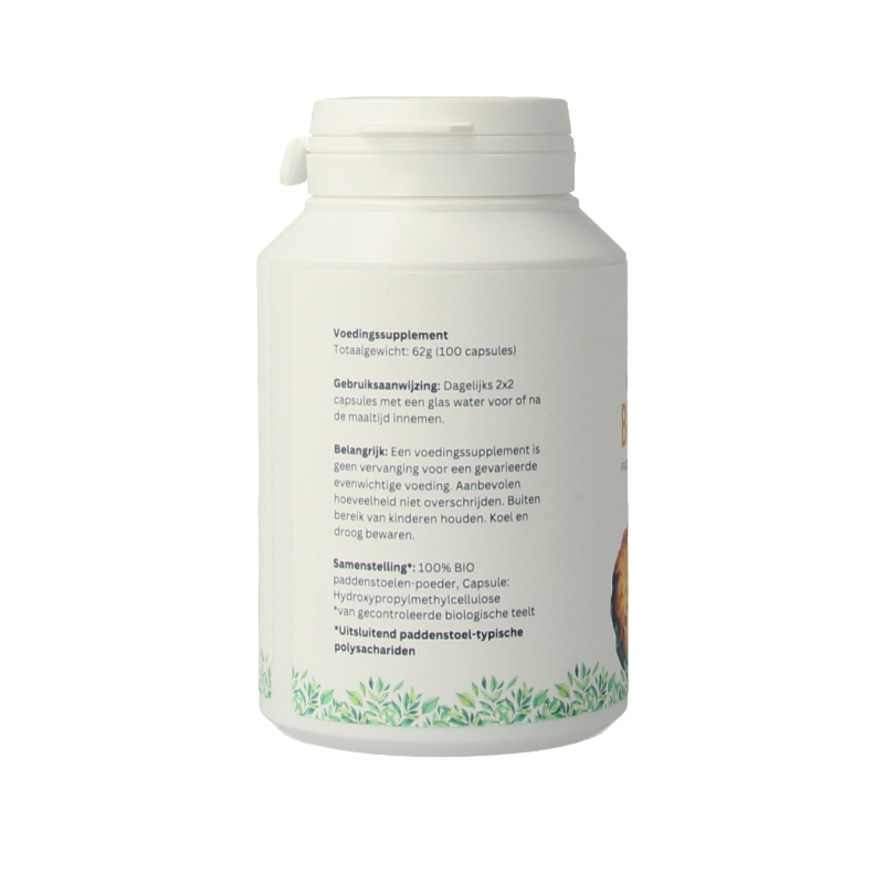 Mycopower Chaga bio 100 Capsules