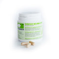 Naturapharma Ginkgo biloba CMN plus 100 Vegetarische capsules
