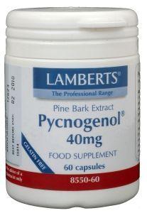 Lamberts Pijnboombast extract (Pycnogenol 40mg) 60 Vegetarische capsules