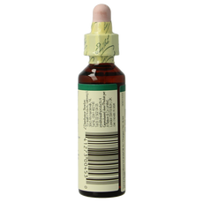 Bach Centaury/duizendgulden 20.00 Milliliter