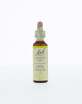 Bach Chestnut bud/kastanjeknop 20.00 Milliliter
