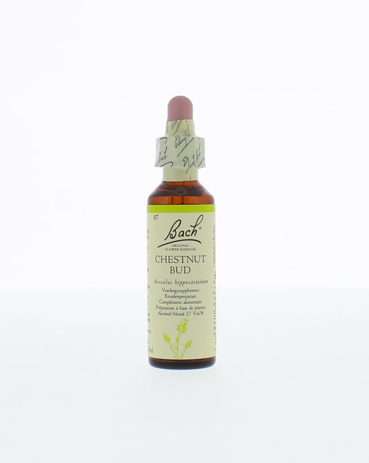 Bach Chestnut bud/kastanjeknop 20 Milliliter