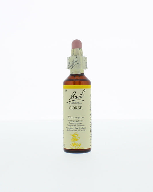 Bach Gorse/gaspeldoorn 20.00 Milliliter