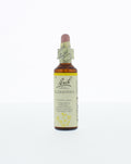 Bach Scleranthus/hardbloem 20.00 Milliliter