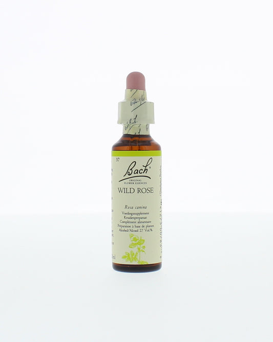 Bach Wild rose/hondsroos 20 Milliliter