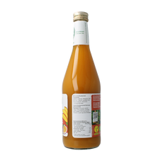 Biotta Mangomix bio 500 Milliliter