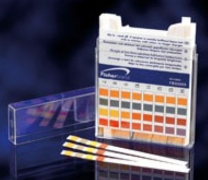 Blockland Phpapier PH 0.0-14.0 teststrips 100 Stuks