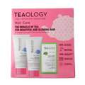 Teaology Peach tea hair kit 1 Stuks