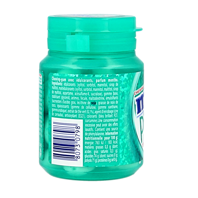 Mentos Gum pure wintergreen pot 30 Stuks