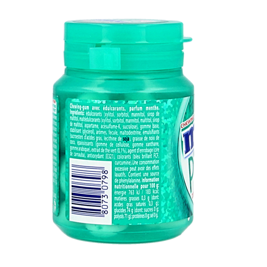 Mentos Gum pure wintergreen pot 30 Stuks