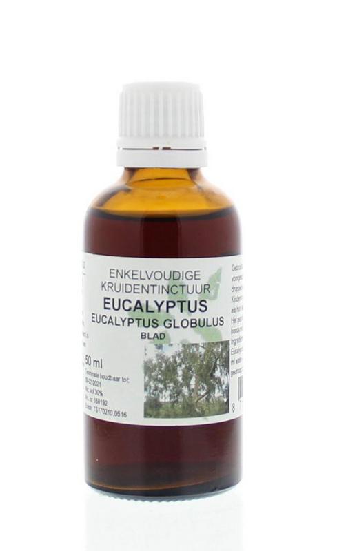 Cruydhof Eucalyptus globulus folia tinctuur 50 Milliliter