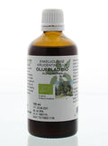 Cruydhof Olea europaea folia / olijfblad tinctuur bio 100 Milliliter