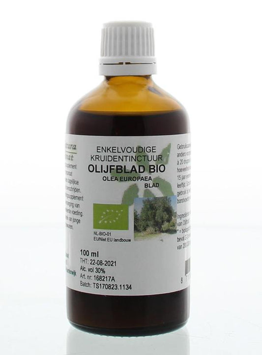Cruydhof Olea europaea folia / olijfblad tinctuur bio 100 Milliliter