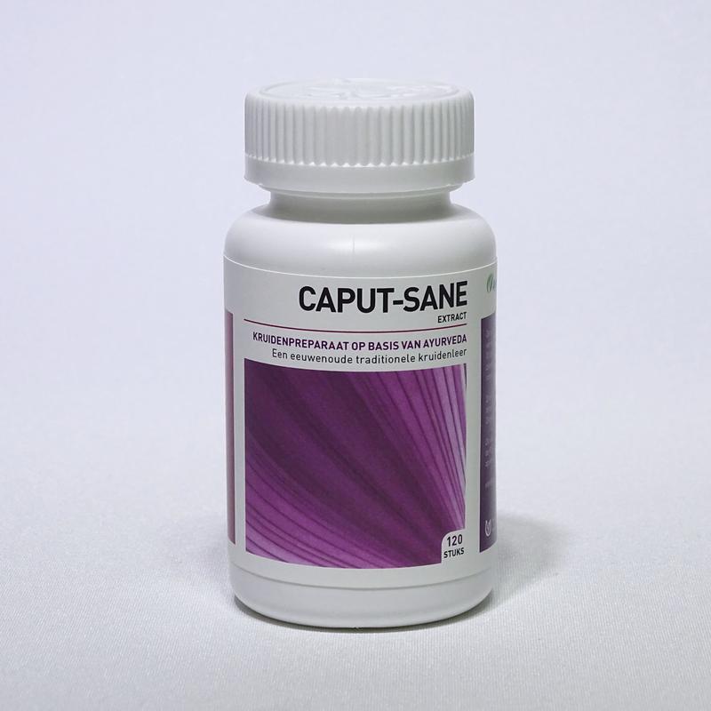 Ayurveda Health Caputsane 120 Tabletten