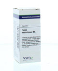 VSM Fucus vesiculosus MK 4 Gram