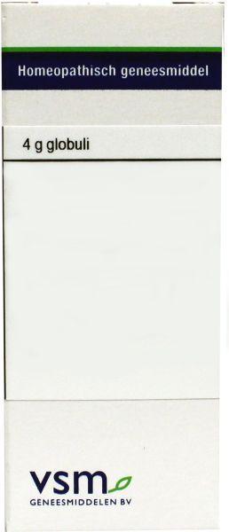 VSM Ruta graveolens MK 4 Gram