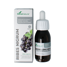 Soria Natural Ribes nigrum extract XXI 50 Milliliter