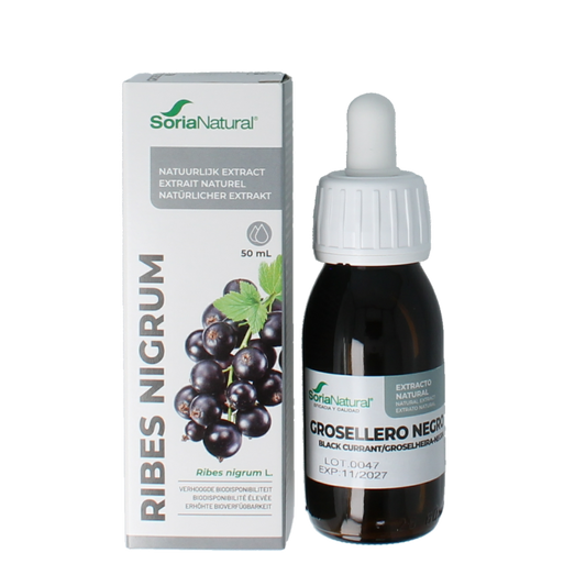Soria Natural Ribes nigrum extract XXI 50 Milliliter