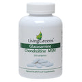Livinggreens Glucosamine chondroitine MSM 300 Tabletten