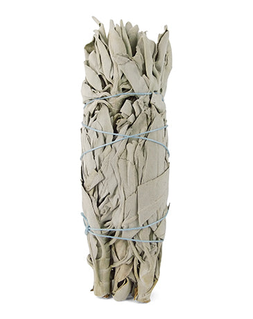 Ruben Robijn Saliebosje 14 cm 1 Stuks