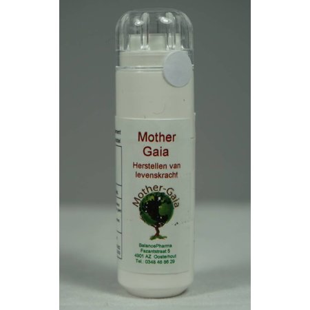 Mother Gaia Chakra & spirit 07 Herstellen van levenskracht 6 Gram