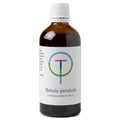 Therapeutenwinkel Betula pendula ruwe berk 100 Milliliter