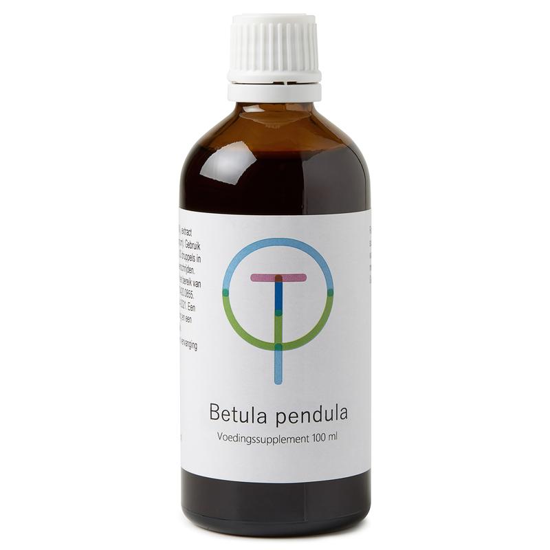 Therapeutenwinkel Betula pendula ruwe berk 100 Milliliter