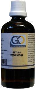 GO Betula verrucosa bio 100 Milliliter