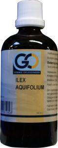 GO Ilex aquafolium 100 Milliliter