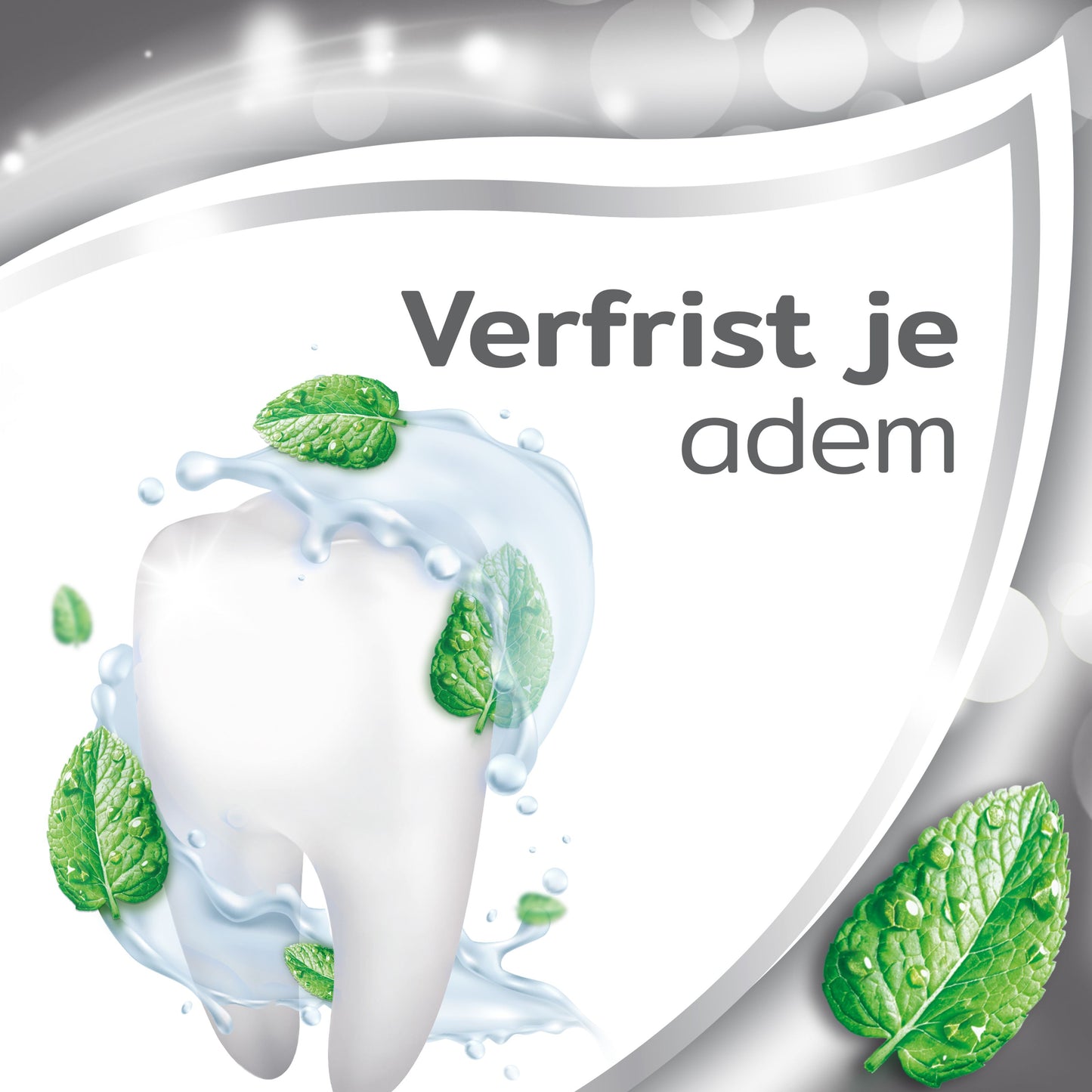 Aquafresh Tandpasta tandsteen controle 75 Milliliter