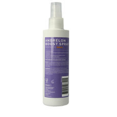 Andrelon Krul booster spray 200 Milliliter